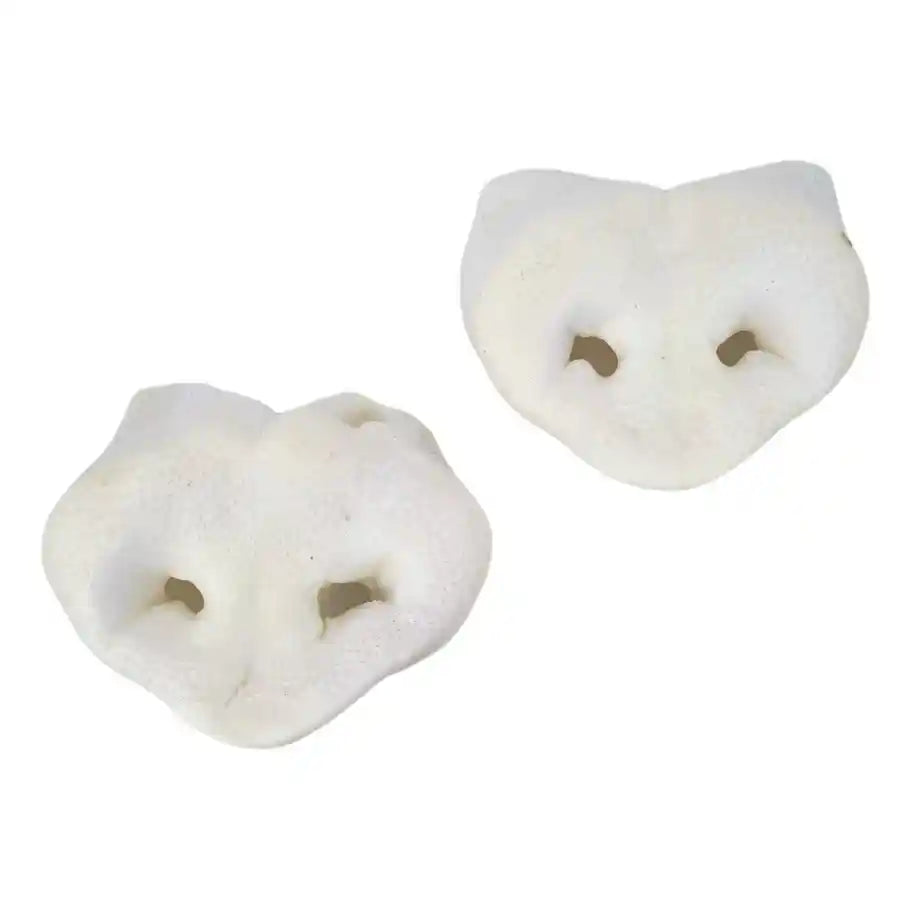 Puffed Pig Noses