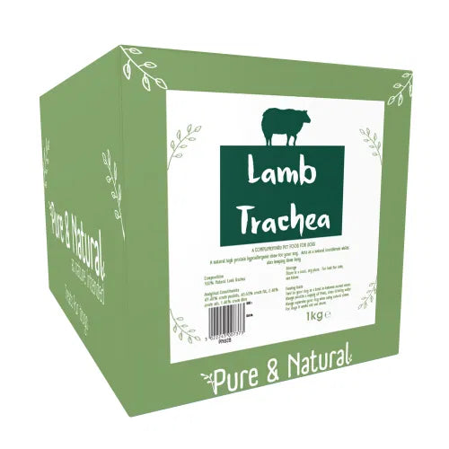 Lamb Trachea